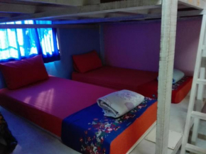 K&M house
